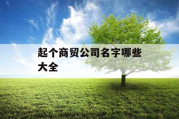 起个商贸公司名字哪些大全 