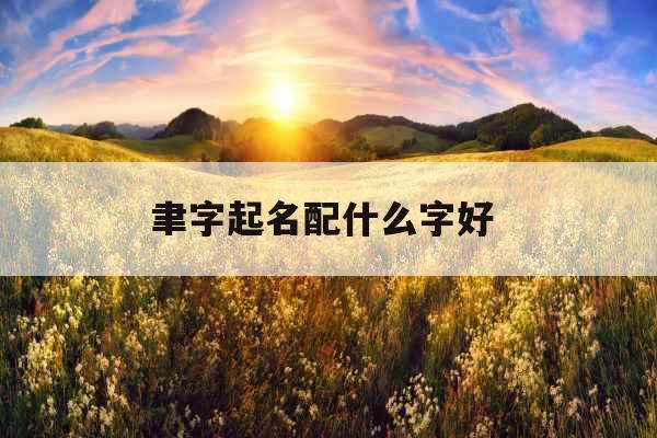 聿字起名配什么字好 