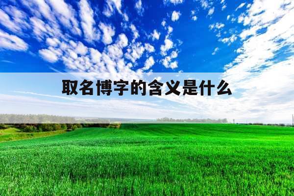 取名博字的含义是什么 