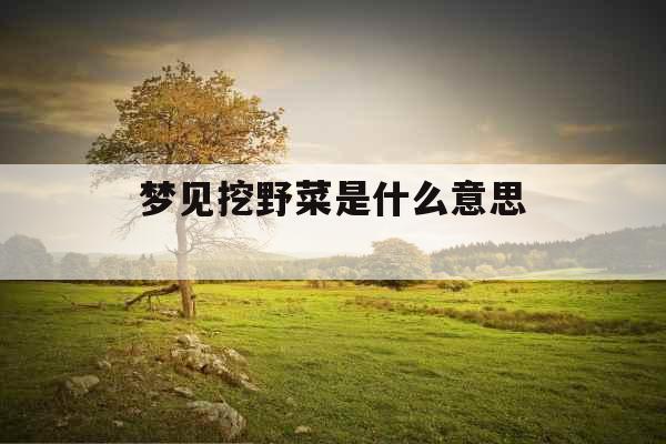 梦见挖野菜是什么意思 梦见挖野菜是什么意思