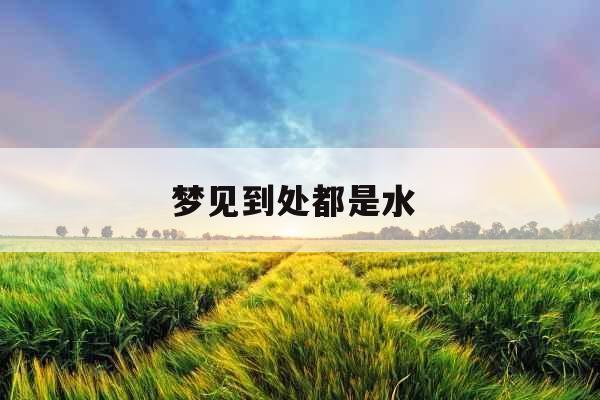 梦见到处都是水 梦见到处都是水