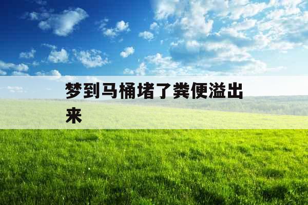 梦到马桶堵了粪便溢出来 