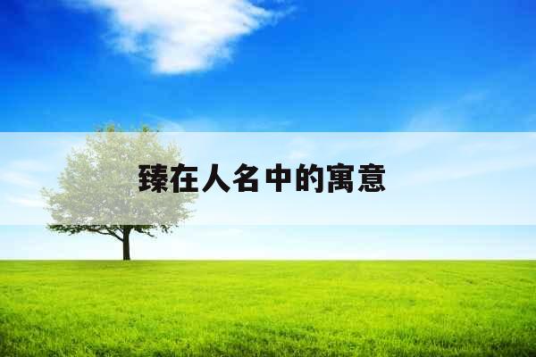 臻在人名中的寓意 臻在人名中的寓意