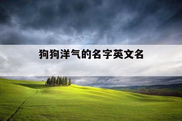狗狗洋气的名字英文名 狗狗洋气的名字英文名