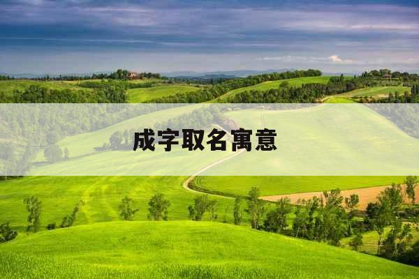 成字取名寓意 