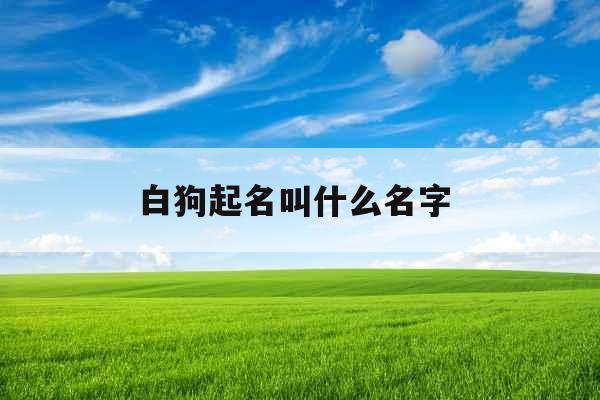 白狗起名叫什么名字 