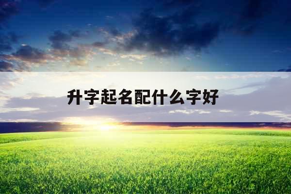 升字起名配什么字好 