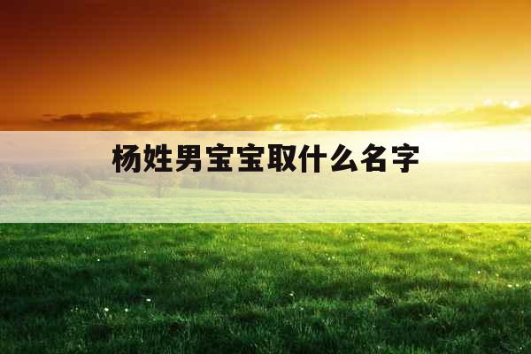 杨姓男宝宝取什么名字  杨姓男宝宝取什么名字