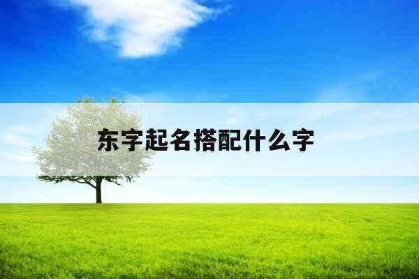东字起名搭配什么字  东字起名搭配什么字