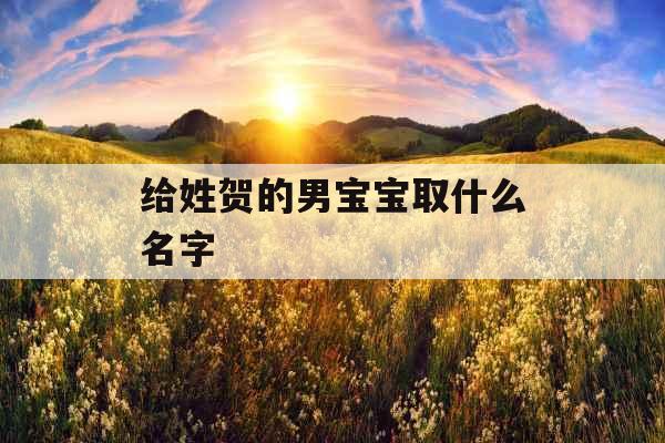 给姓贺的男宝宝取什么名字  给姓贺的男宝宝取什么名字