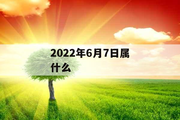 2022年6月7日属什么 