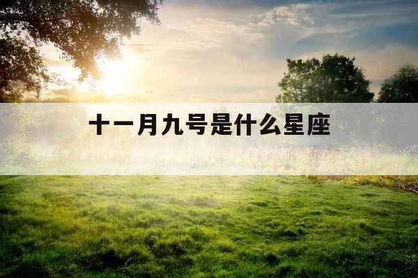 十一月九号是什么星座 