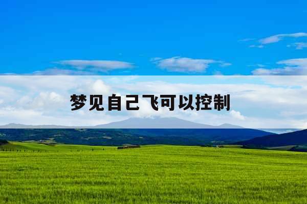 梦见自己飞可以控制  梦见自己飞可以控制