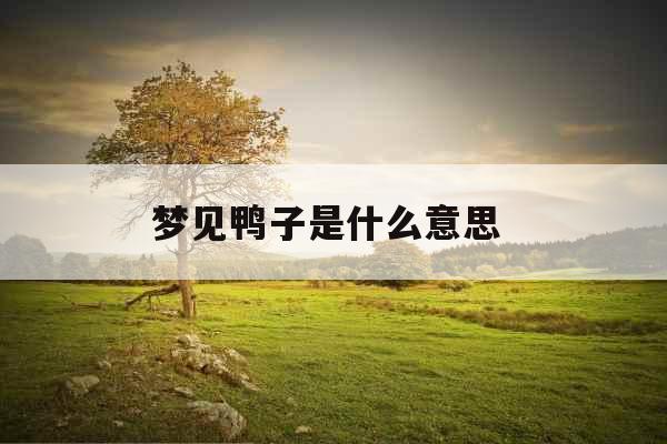 梦见鸭子是什么意思  梦见鸭子是什么意思