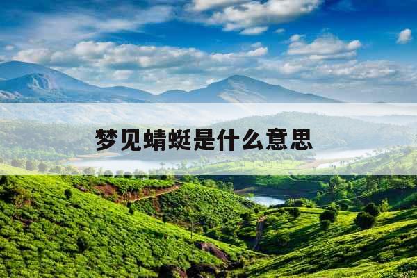 梦见蜻蜓是什么意思 