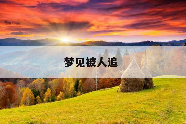 梦见被人追  梦见被人追