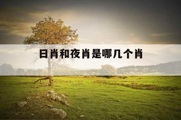 日肖和夜肖是哪几个肖 