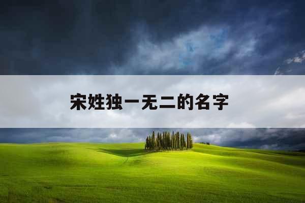 宋姓独一无二的名字  宋姓独一无二的名字