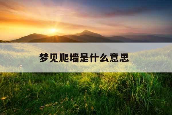 梦见爬墙是什么意思  梦见爬墙是什么意思