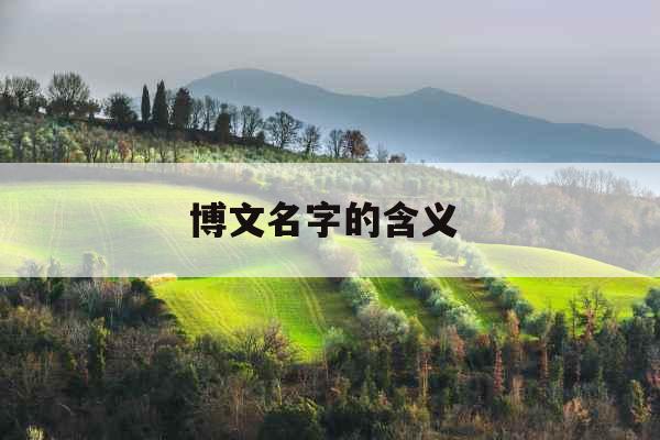 博文名字的含义  博文名字的含义