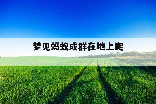 梦见蚂蚁成群在地上爬 