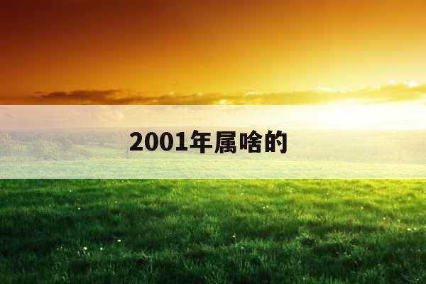 2001年属啥的  2001年属啥的