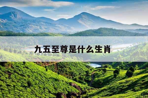 九五至尊是什么生肖 