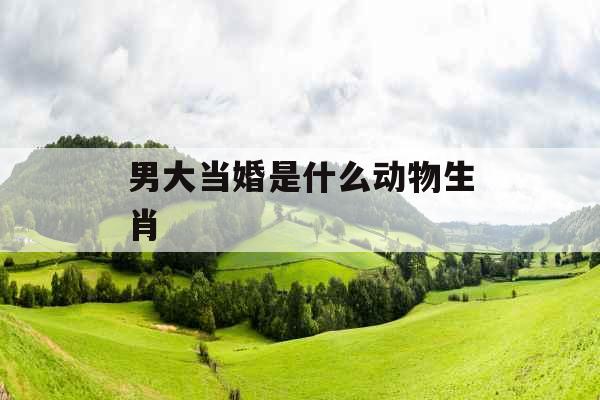 男大当婚是什么动物生肖 