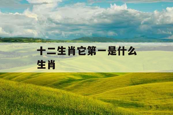 十二生肖它第一是什么生肖 