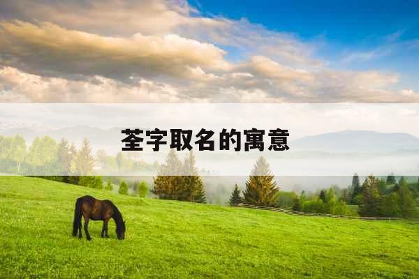 荃字取名的寓意 荃字取名的寓意