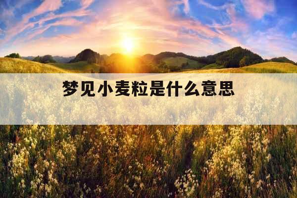 梦见小麦粒是什么意思 