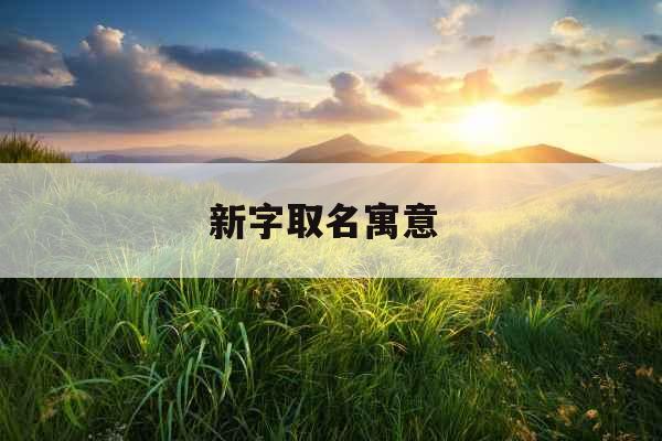 新字取名寓意 新字取名寓意