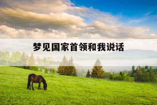 梦见国家首领和我说话 