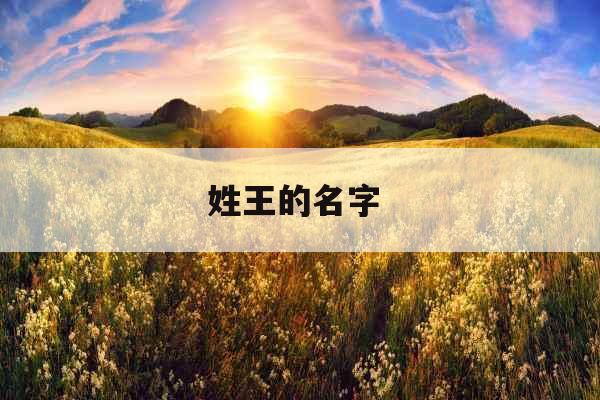 姓王的名字 