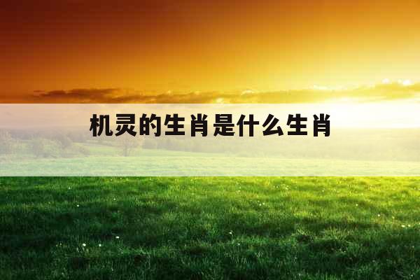 机灵的生肖是什么生肖  机灵的生肖是什么生肖