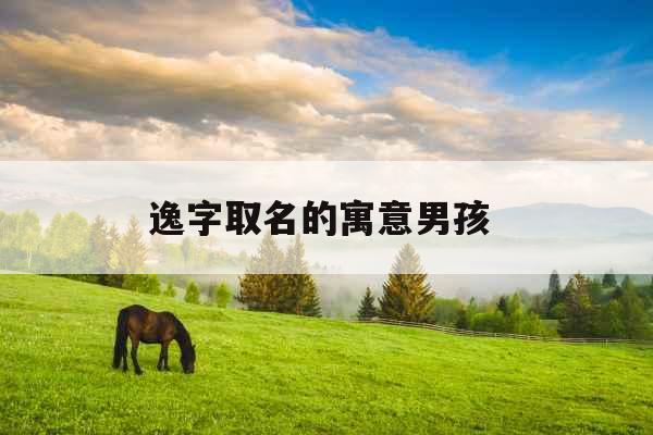 逸字取名的寓意男孩 逸字取名的寓意男孩