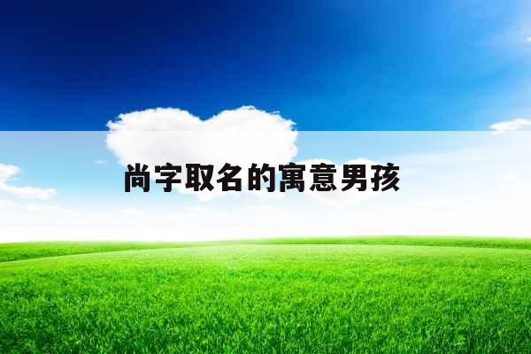 尚字取名的寓意男孩 