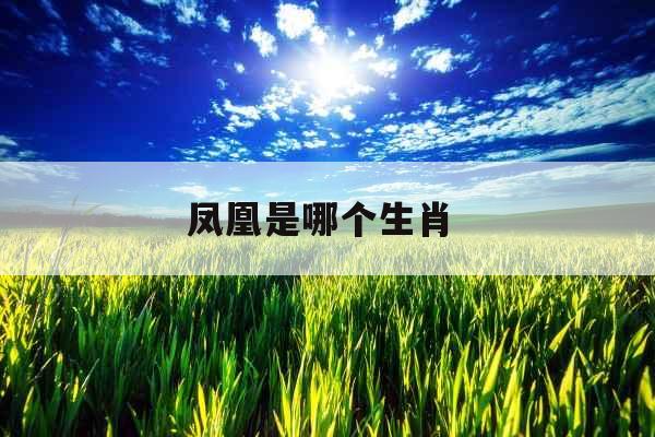 凤凰是哪个生肖 