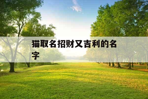 猫取名招财又吉利的名字 