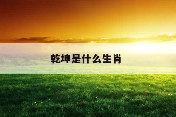 乾坤是什么生肖 