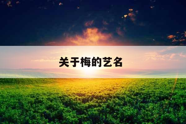 关于梅的艺名 