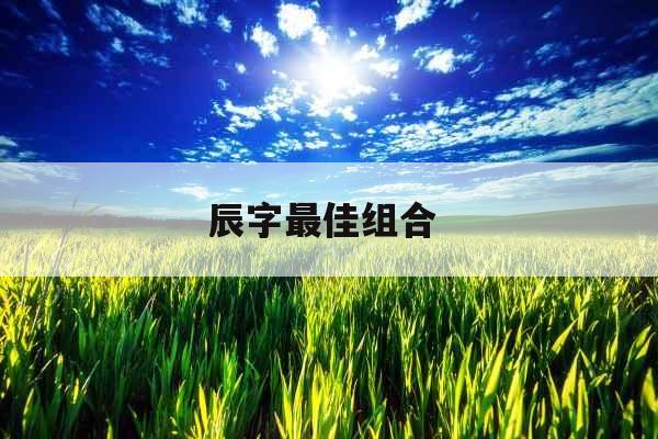 辰字最佳组合 