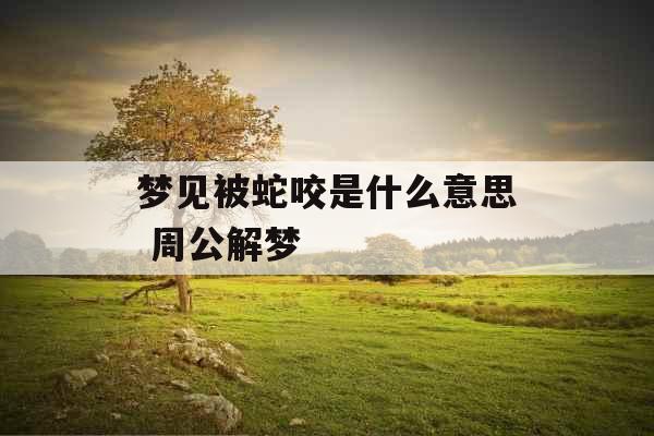 梦见被蛇咬是什么意思 周公解梦 