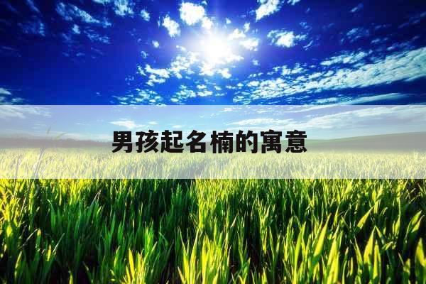 男孩起名楠的寓意 