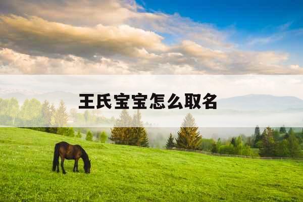 王氏宝宝怎么取名  王氏宝宝怎么取名