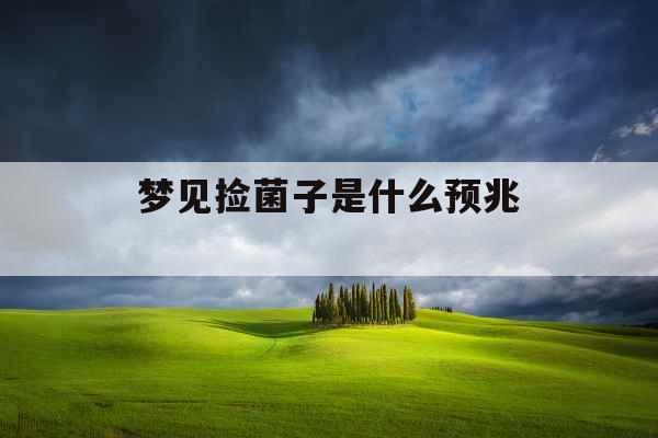 梦见捡菌子是什么预兆 