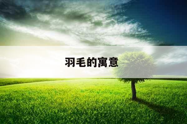 羽毛的寓意 羽毛的寓意