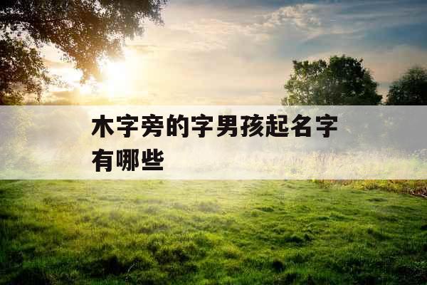 木字旁的字男孩起名字有哪些