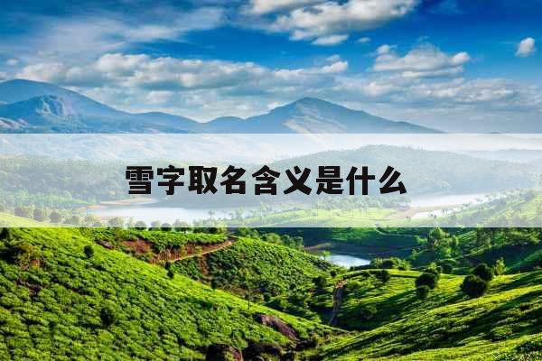 雪字取名含义是什么 