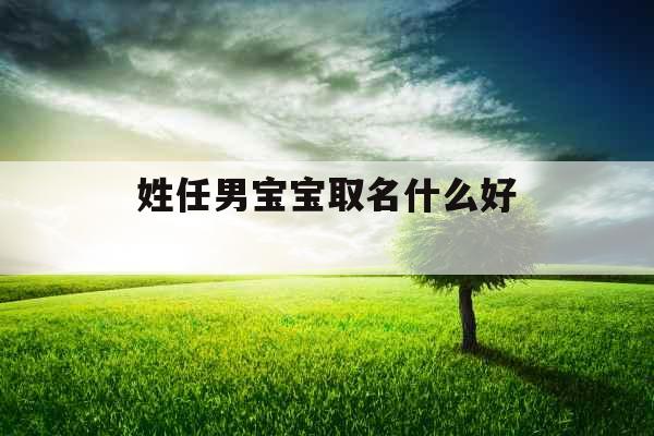 姓任男宝宝取名什么好 